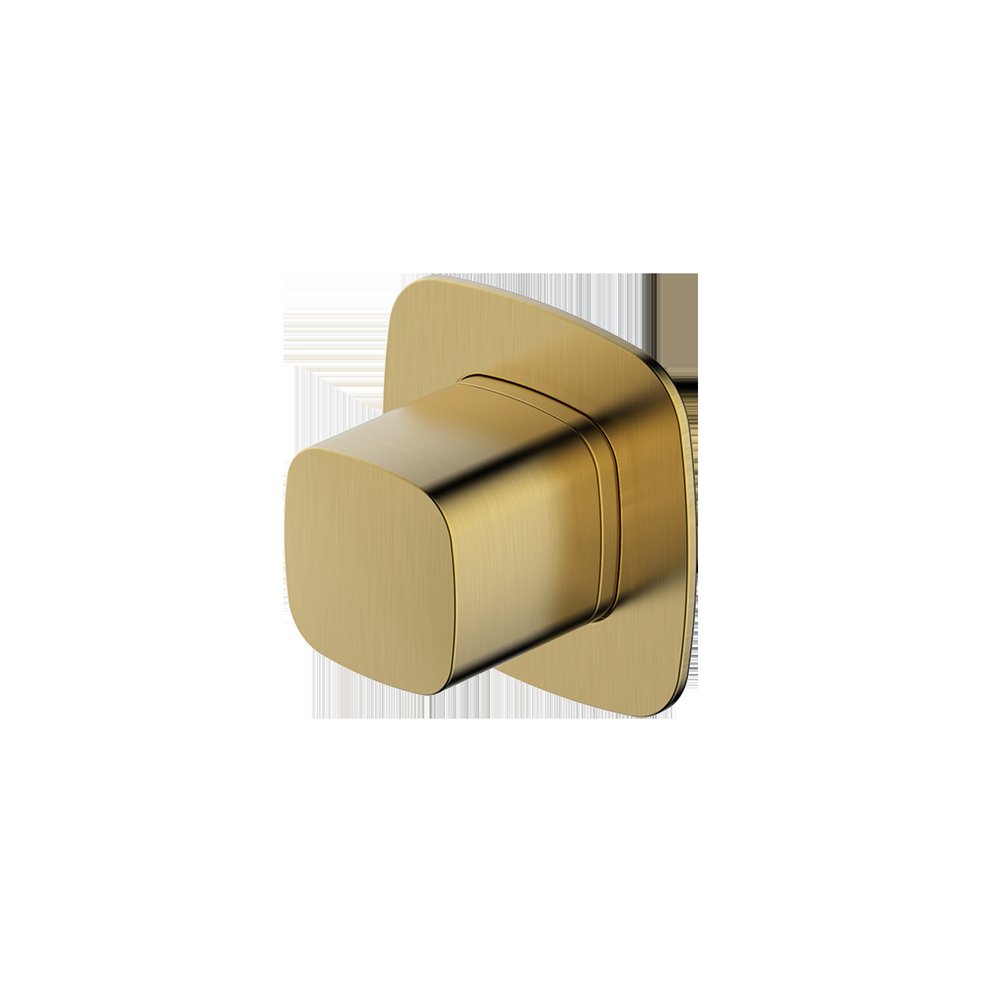 Rak Petit Square Concealed Diverter Gold