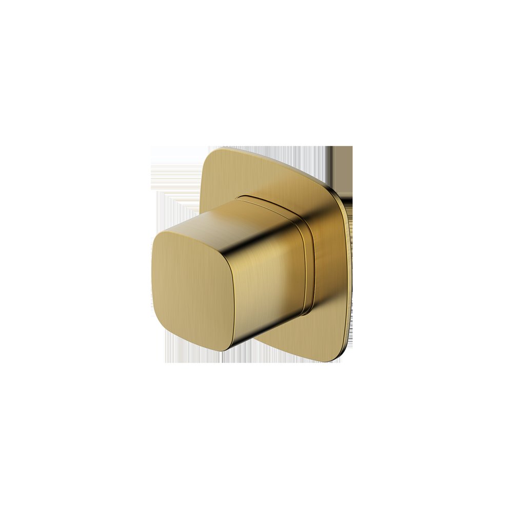 Rak Petit SQ Concealed 2 Way Diverter Gold