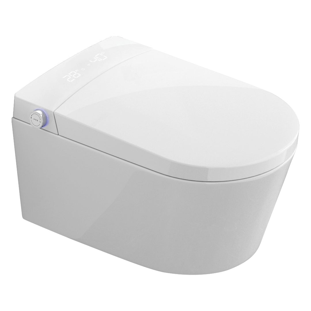 Wall Hung Smart Toilet with Wal Frame & Chrome Flush Plate