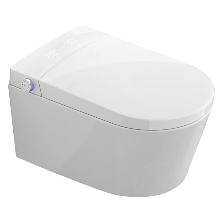 Wall Hung Smart Toilet with Wal Frame & Chrome Flush Plate