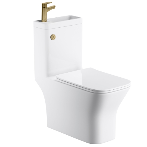 P2 Combination Square Toilet & Sink - Brushed Brass Tap